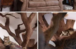 Screenshot 2025 06 14 At 8.13.56 Pm